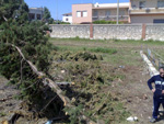 thumb_007_g.jpg